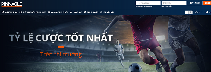 Pinnacle - Nhà cái cá cược có tỷ lệ cược cao