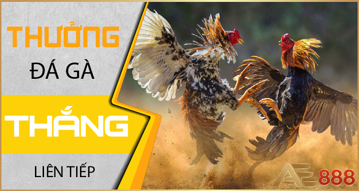 Thắng lớn cùng AE888