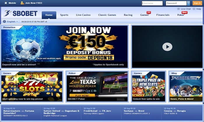 Hướng dẫn cách chơi cá cược tại Sbobet