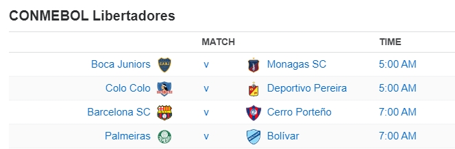 CONMEBOL Libertadores