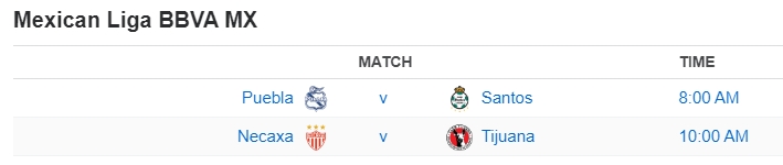 Mexican Liga BBVA MX