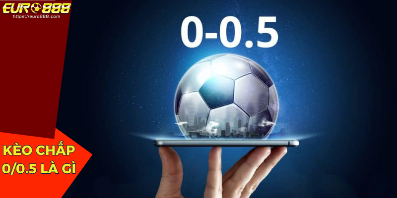 Giải Đáp Kèo Chấp 0/0.5 Là Gì Và Thủ Thuật Vào Tiền Ăn Đậm 