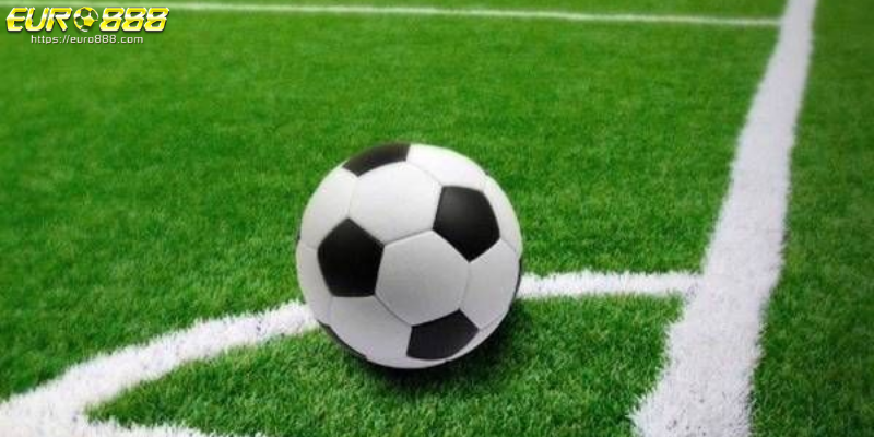 keo rung la gi (4) Giới thiệu kèo rung phạt góc trong nhà cái uy tín